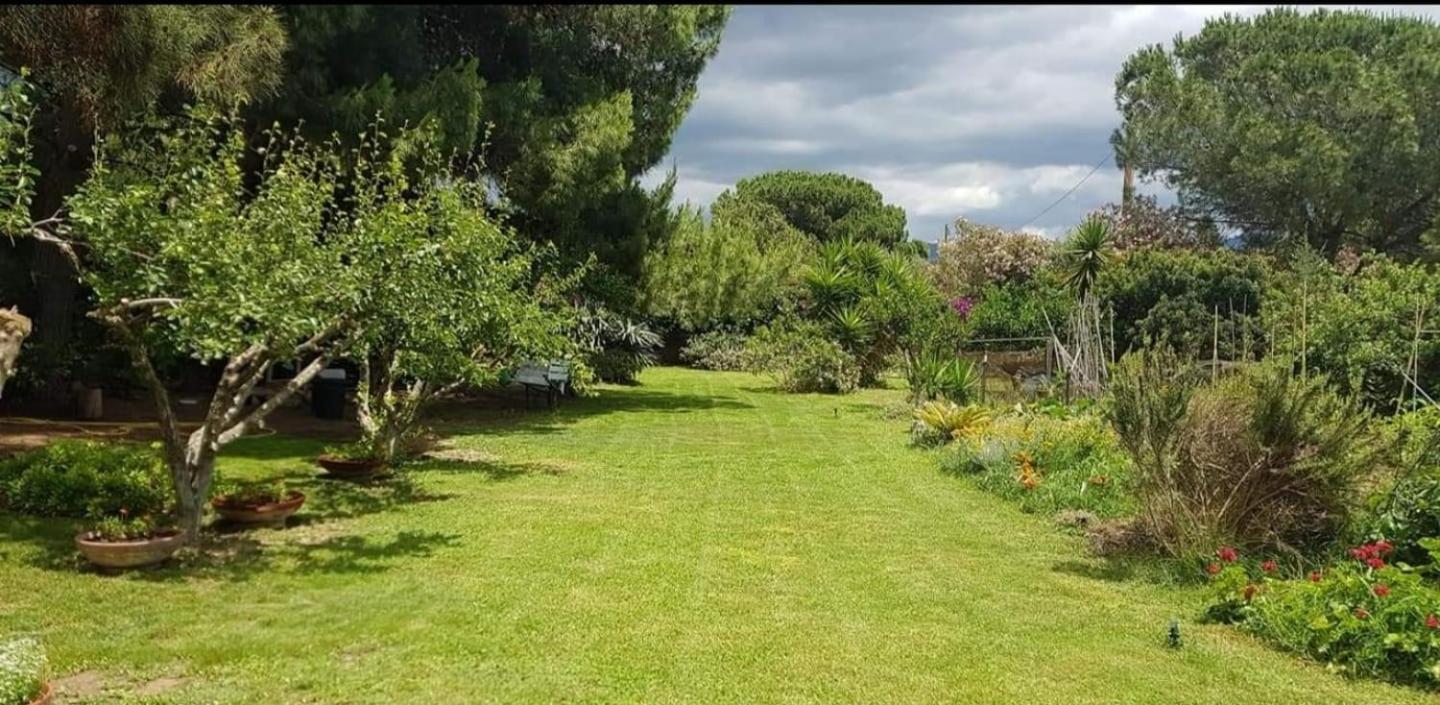 Il Giardino Di Frafa Daire Quartu SantʼElena Dış mekan fotoğraf