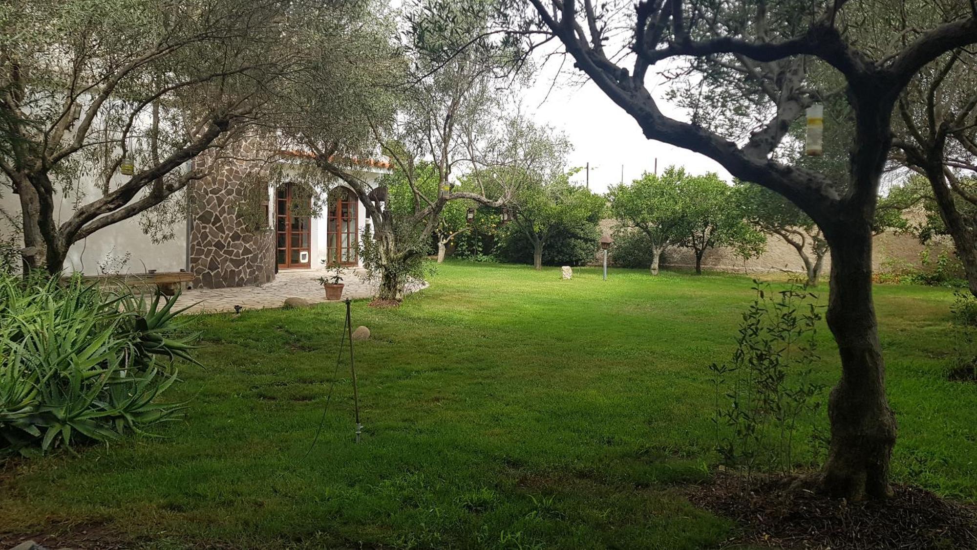 Il Giardino Di Frafa Daire Quartu SantʼElena Dış mekan fotoğraf