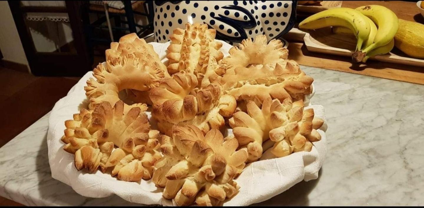 Il Giardino Di Frafa Daire Quartu SantʼElena Dış mekan fotoğraf