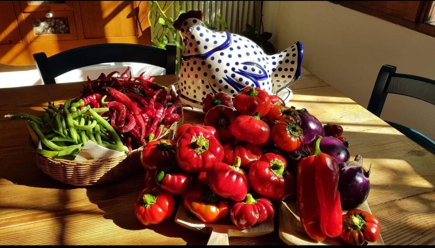 Il Giardino Di Frafa Daire Quartu SantʼElena Dış mekan fotoğraf