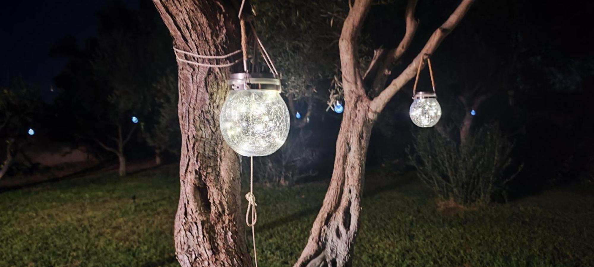 Il Giardino Di Frafa Daire Quartu SantʼElena Dış mekan fotoğraf
