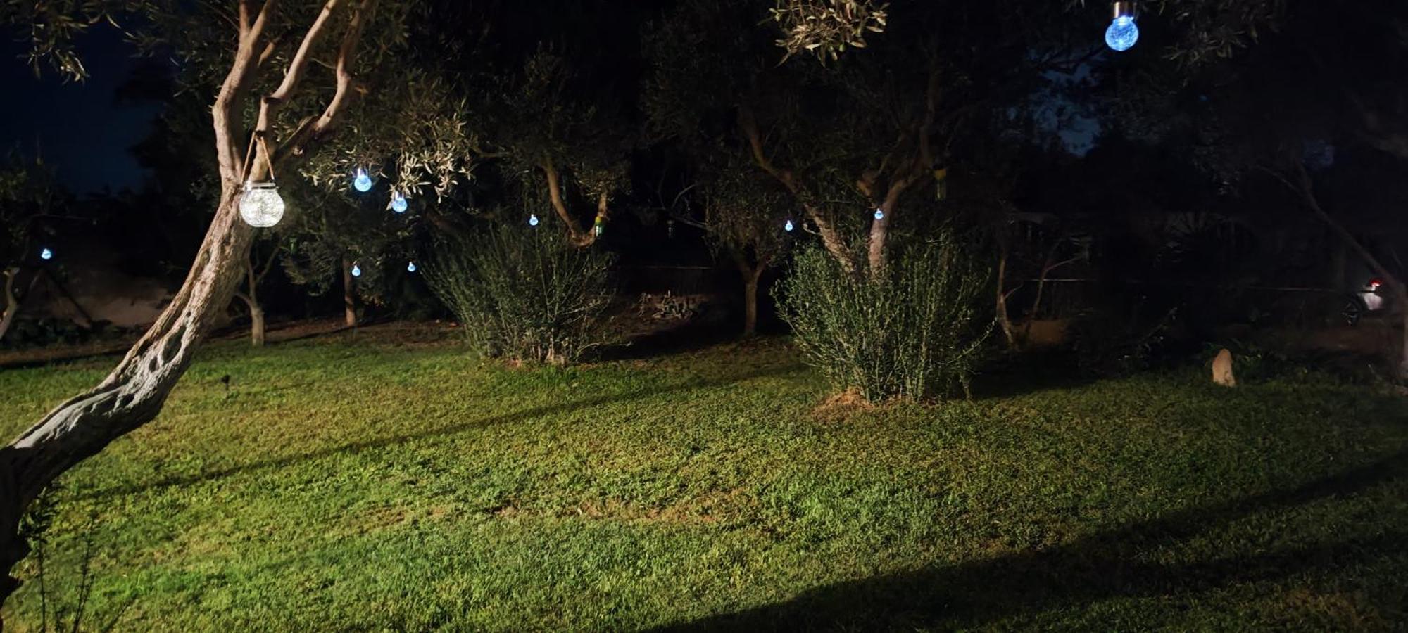 Il Giardino Di Frafa Daire Quartu SantʼElena Dış mekan fotoğraf