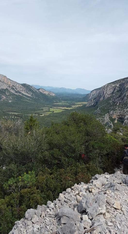 Il Giardino Di Frafa Daire Quartu SantʼElena Dış mekan fotoğraf