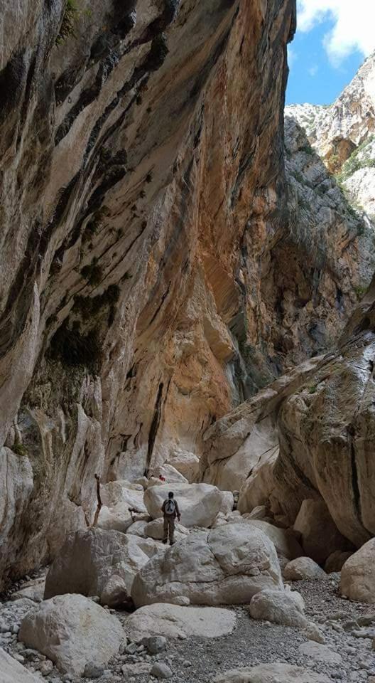 Il Giardino Di Frafa Daire Quartu SantʼElena Dış mekan fotoğraf