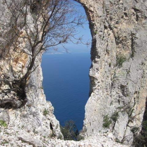 Il Giardino Di Frafa Daire Quartu SantʼElena Dış mekan fotoğraf