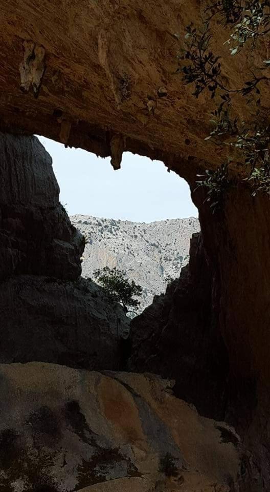 Il Giardino Di Frafa Daire Quartu SantʼElena Dış mekan fotoğraf