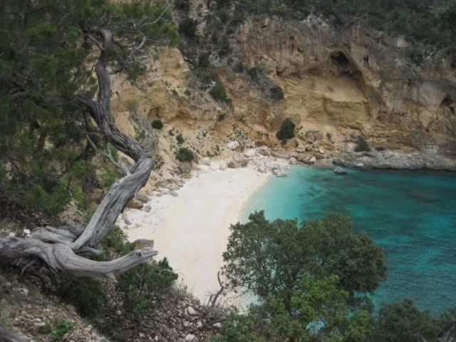 Il Giardino Di Frafa Daire Quartu SantʼElena Dış mekan fotoğraf