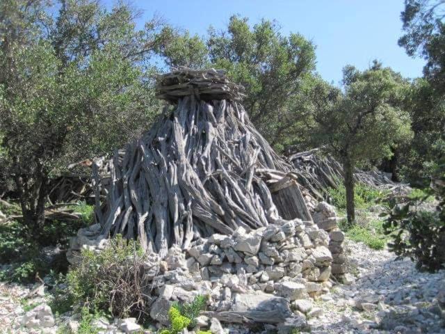 Il Giardino Di Frafa Daire Quartu SantʼElena Dış mekan fotoğraf