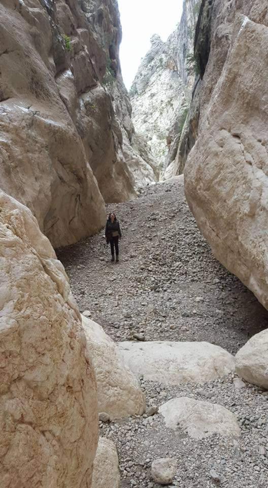 Il Giardino Di Frafa Daire Quartu SantʼElena Dış mekan fotoğraf