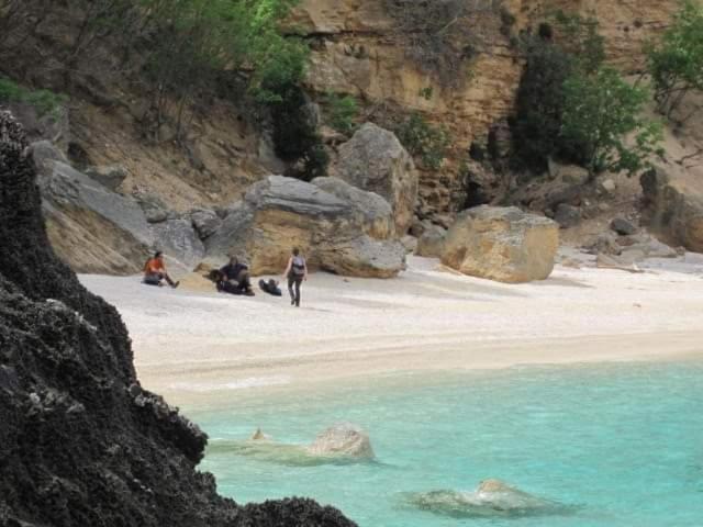 Il Giardino Di Frafa Daire Quartu SantʼElena Dış mekan fotoğraf