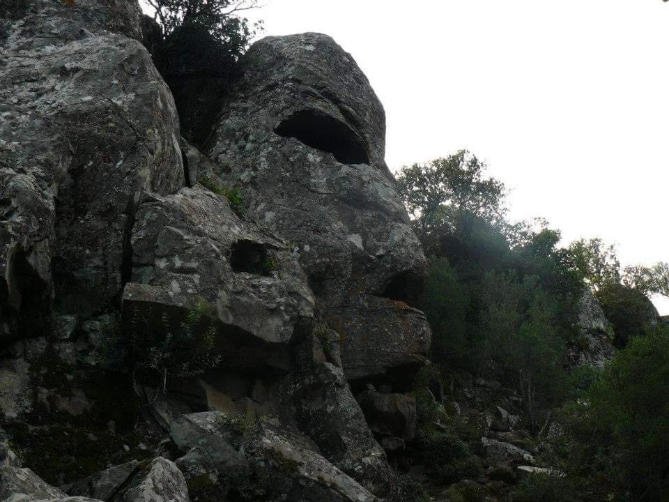 Il Giardino Di Frafa Daire Quartu SantʼElena Dış mekan fotoğraf